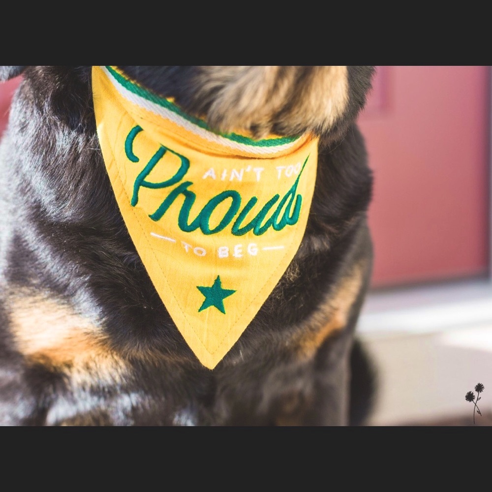 NWT Easy, Tiger Embroidered Dog Bandana “Ain’t Too Proud To Beg”
